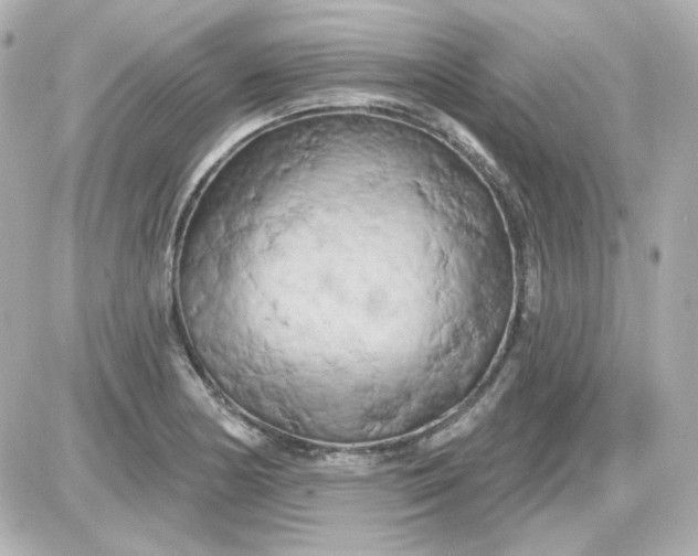 X0000087531178200705112024