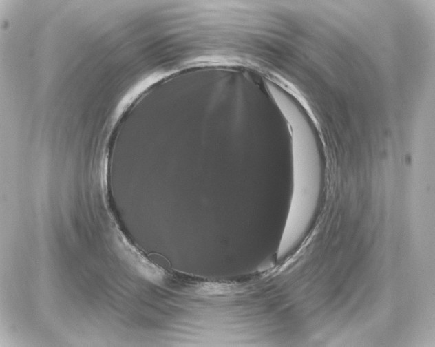 X0000087531179200705112024