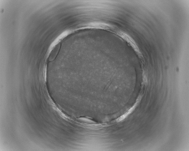 X0000087531180200705112024