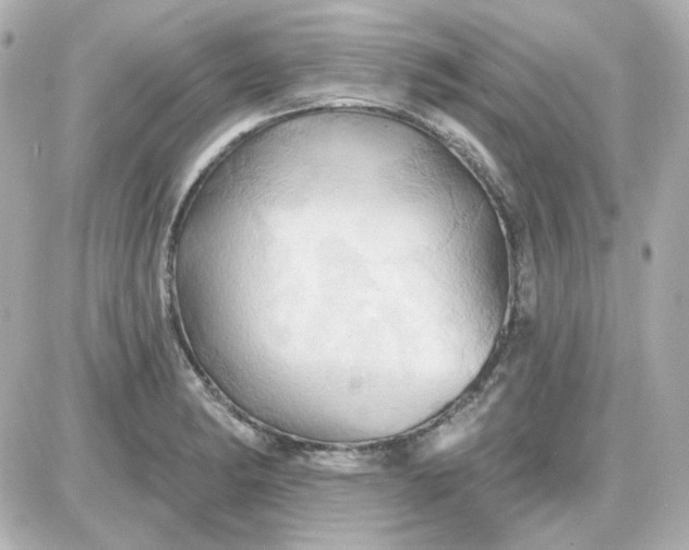 X0000087531182200705112024