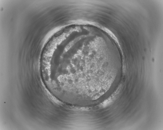 X0000087531183200705112024