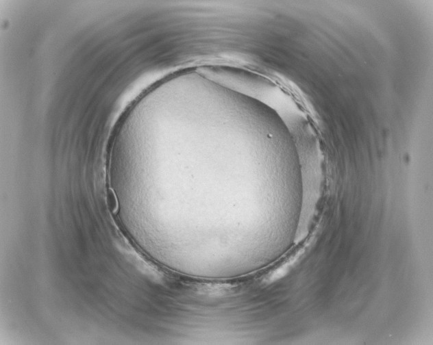 X0000087531184200705112024