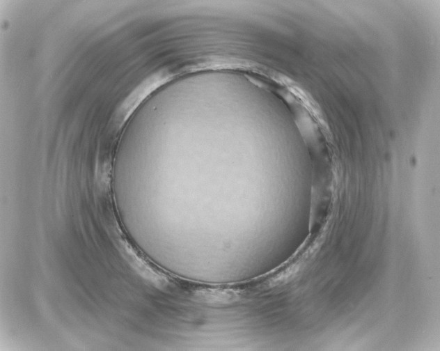 X0000087531185200705112024