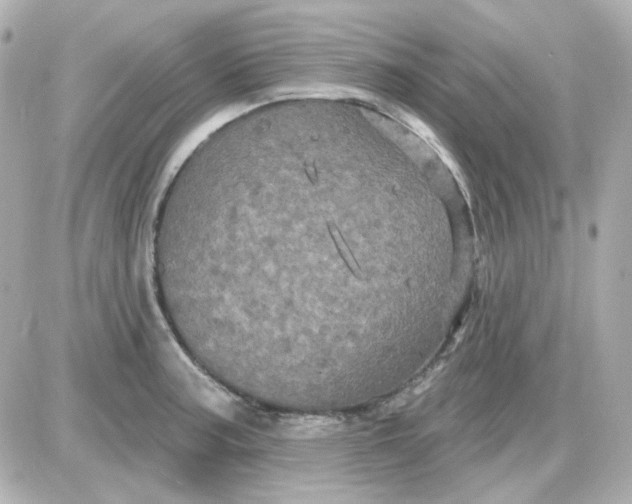 X0000087531187200705112023