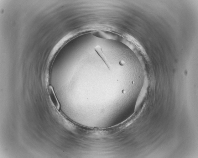 X0000087531188200705112023