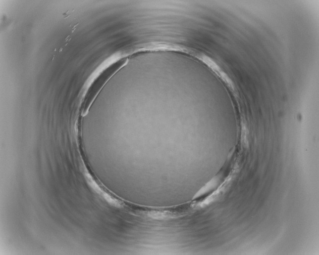 X0000087531189200705112023