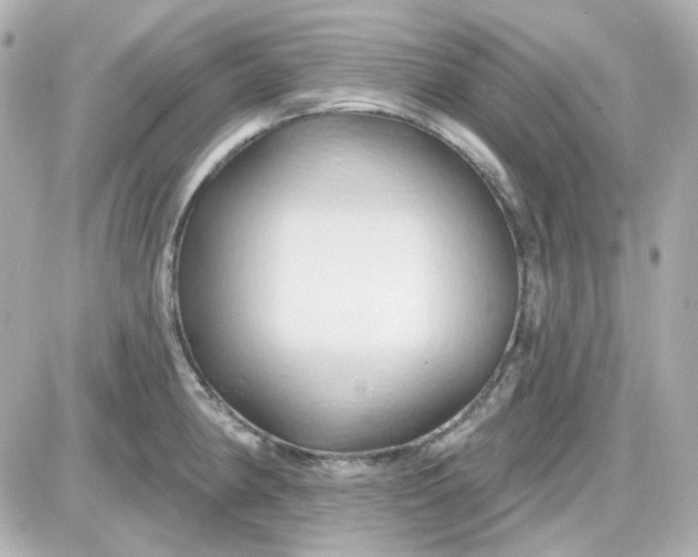 X0000087531190200705112023