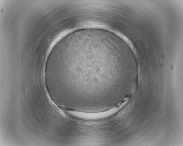 X0000087531191200705112023