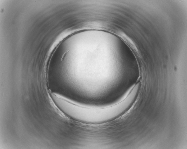 X0000087531192200705112023