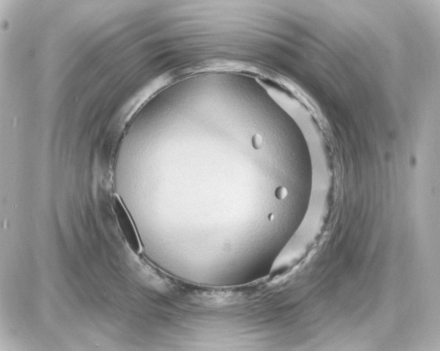 X0000087531193200705112023