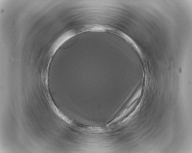 X0000087531194200705112023