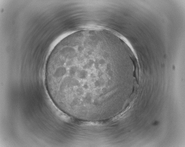 X0000087531195200705112023