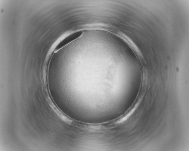 X0000087531196200705112023