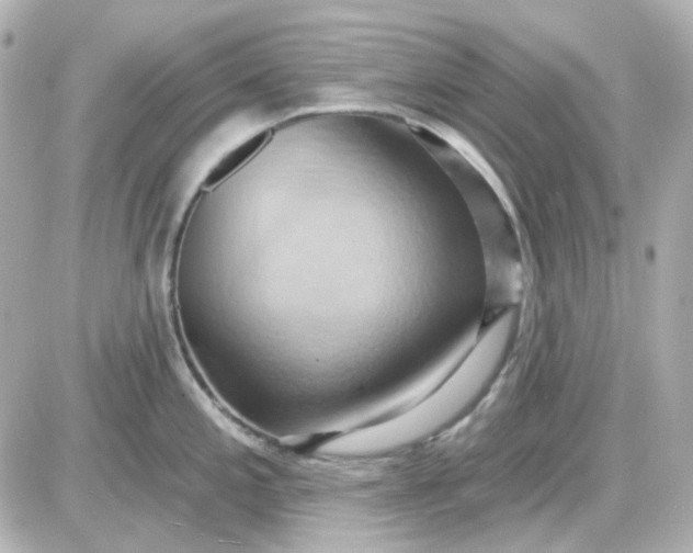 X0000087531197200705112023