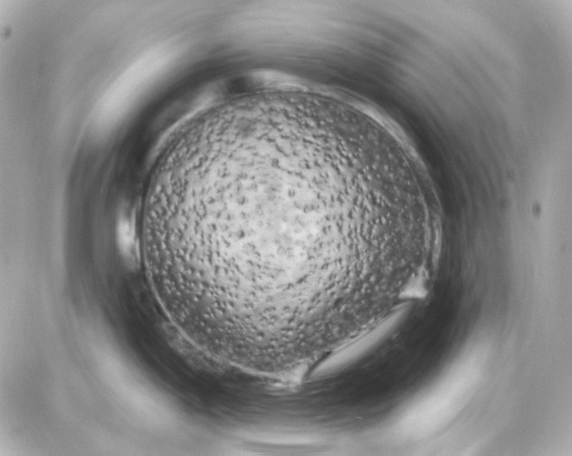 X0000087531198200705112023