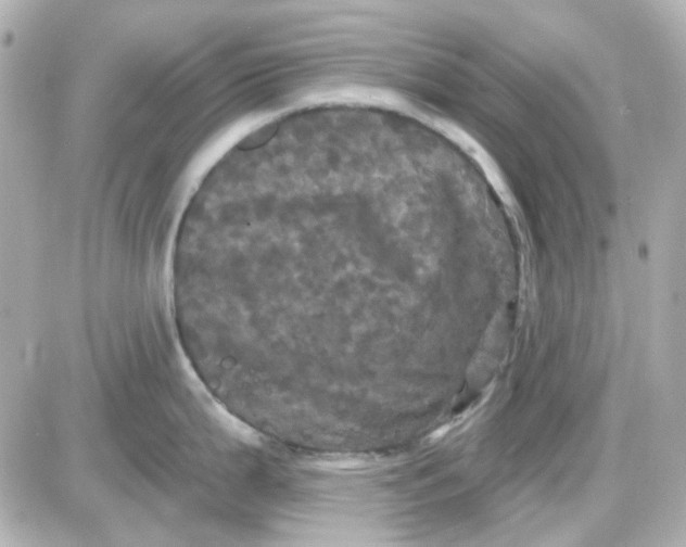 X0000087531199200705112023