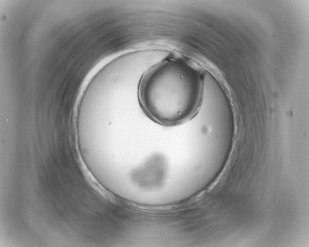 X0000087531200200705112023