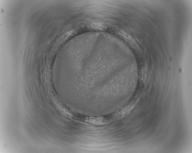 X0000087531201200705112023