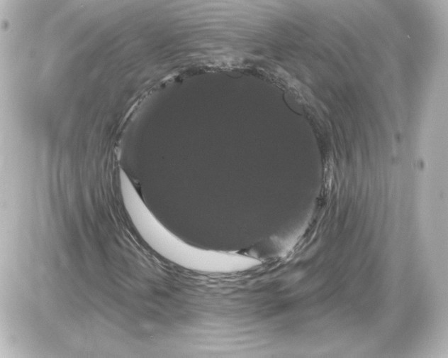 X0000087531202200705112023