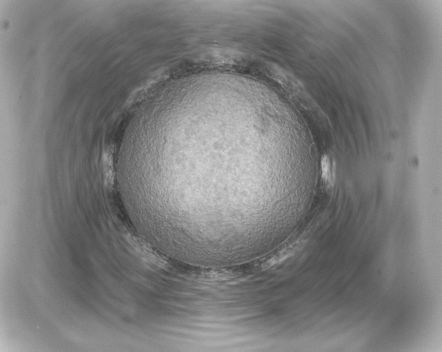 X0000087531203200705112023