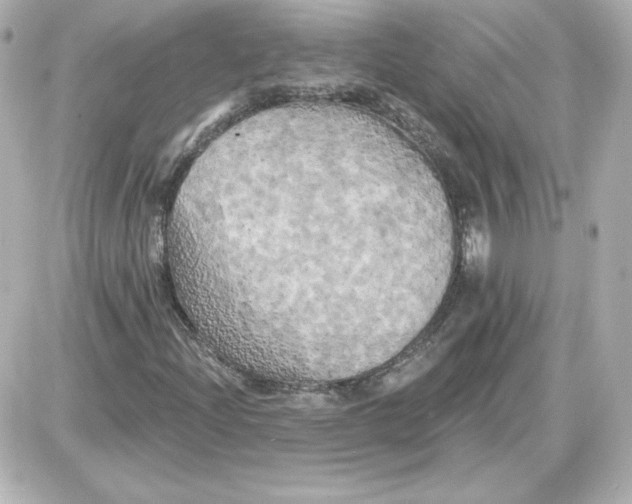 X0000087531204200705112023