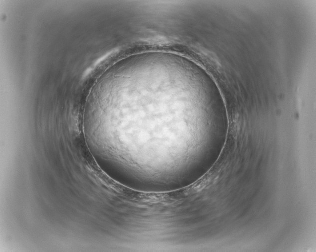 X0000087531205200705112023