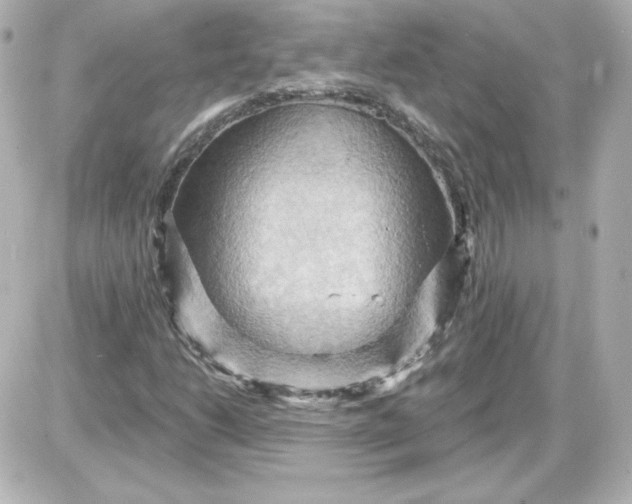 X0000087531206200705112023