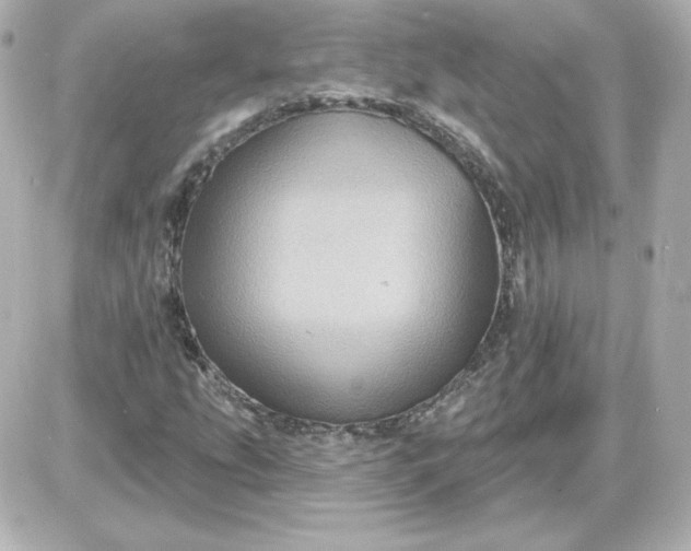 X0000087531207200705112023