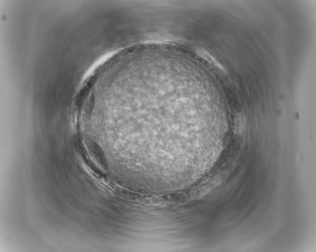 X0000087531208200705112023