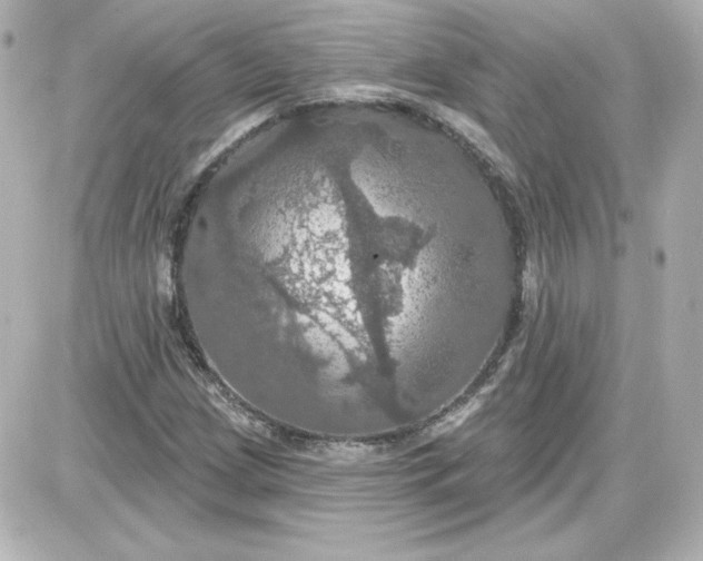 X0000087531209200705112023