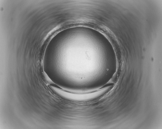 X0000087531210200705112023