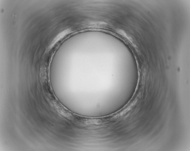 X0000087531211200705112023