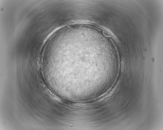 X0000087531212200705112023