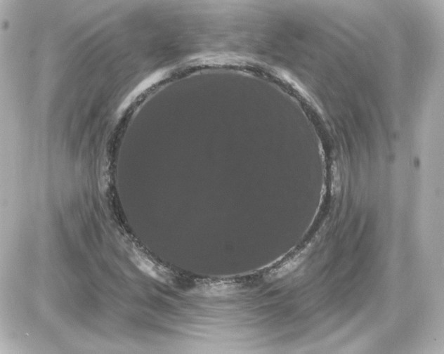 X0000087531213200705112023