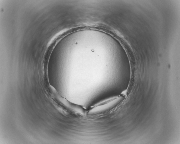 X0000087531214200705112023