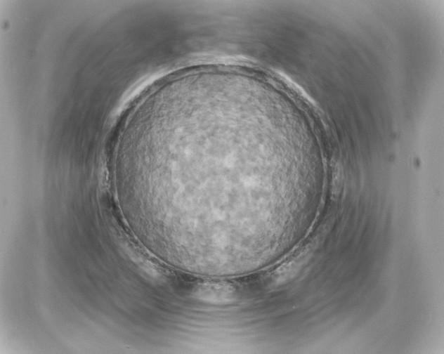 X0000087531215200705112023