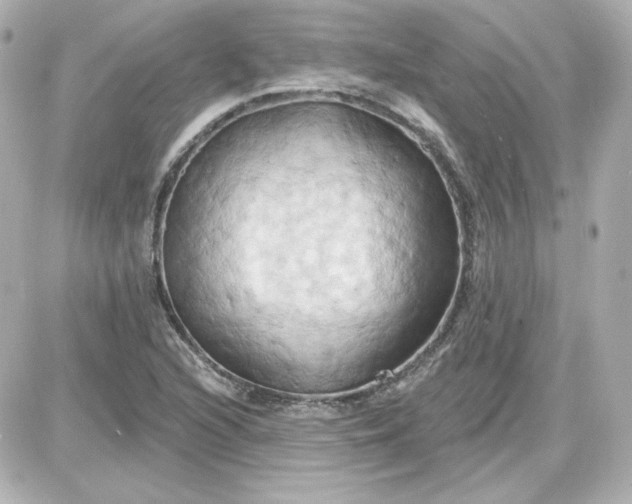 X0000087531216200705112023