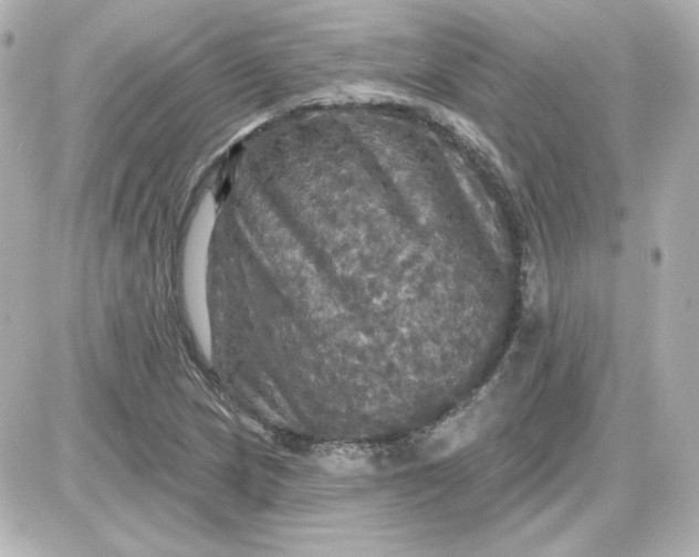 X0000087531217200705112023