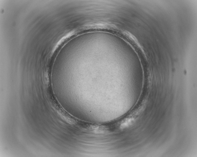 X0000087531218200705112023