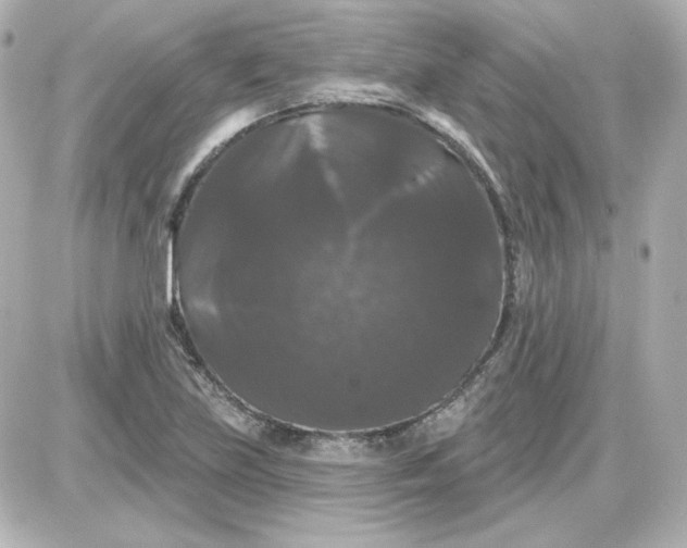 X0000087531219200705112023