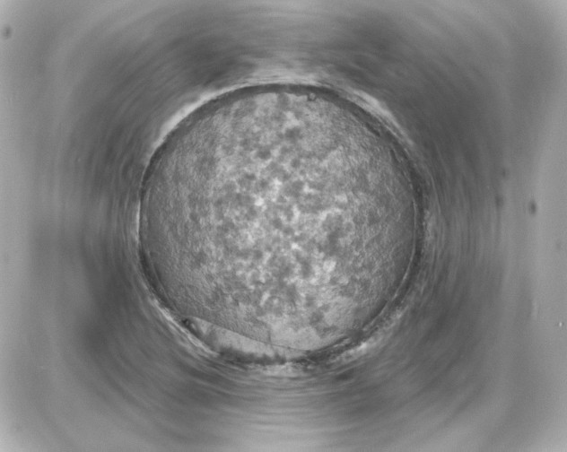 X0000087531220200705112023