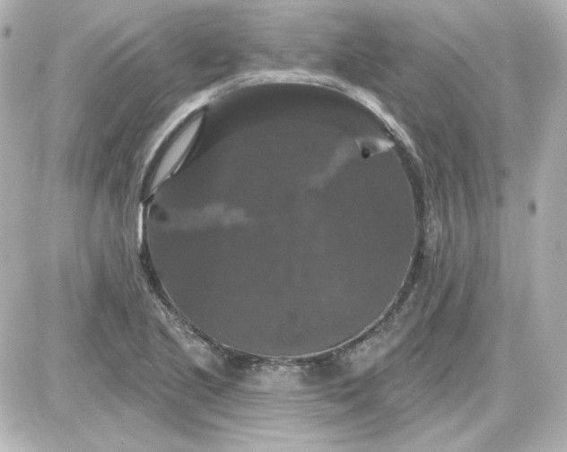 X0000087531221200705112023