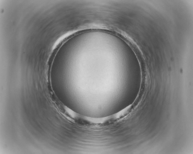 X0000087531222200705112023