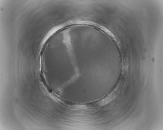 X0000087531223200705112023