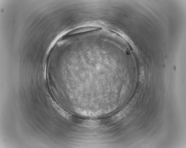 X0000087531224200705112023