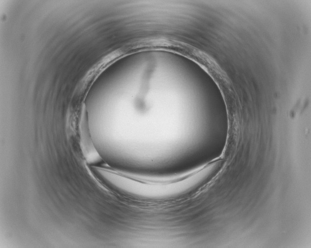 X0000087531225200705112023