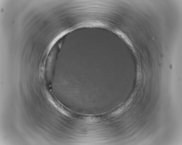 X0000087531226200705112023