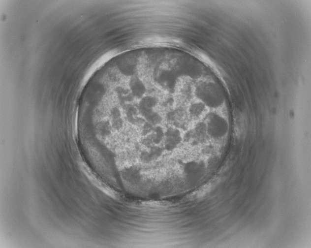 X0000087531227200705112023