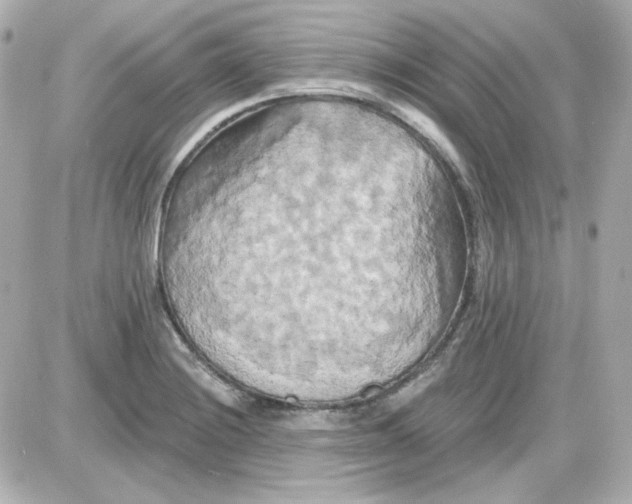 X0000087531228200705112023