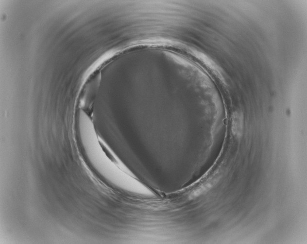 X0000087531229200705112023